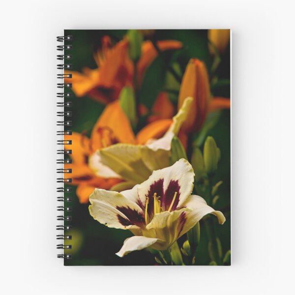 Item preview, Custard Candy Daylily designed and sold by Michael Cummings.