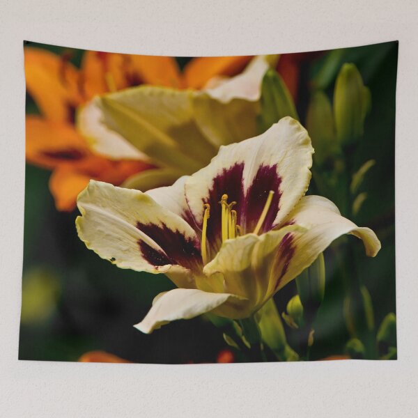 Item preview, Custard Candy Daylily designed and sold by Michael Cummings.