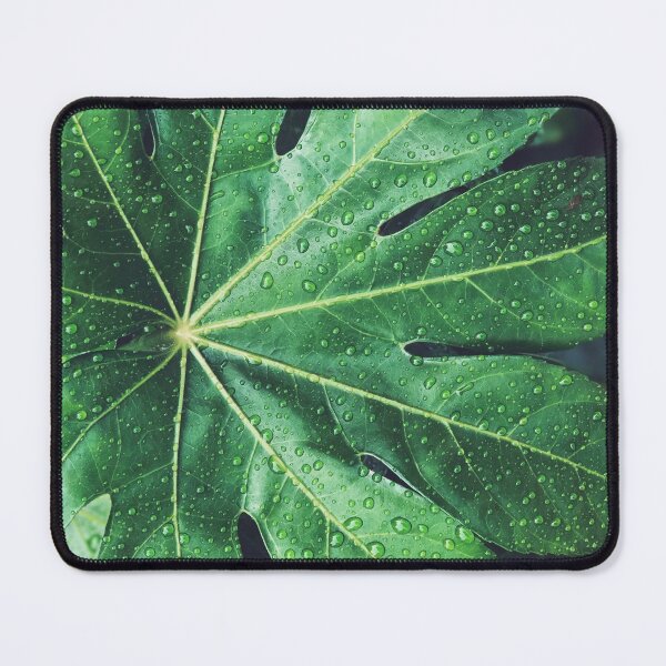 Item preview, Rainy Day Leaf designed and sold by LisaDCreates.