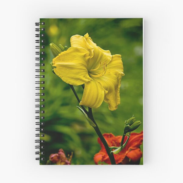 Item preview, Yellow Daylily designed and sold by Michael Cummings.