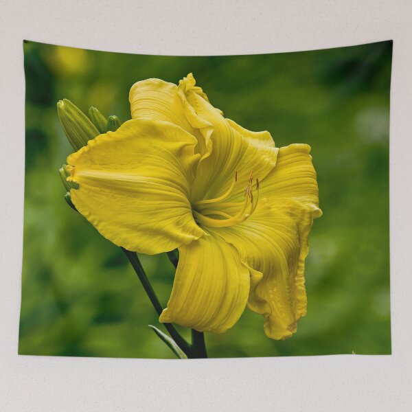 Item preview, Yellow Daylily designed and sold by Michael Cummings.