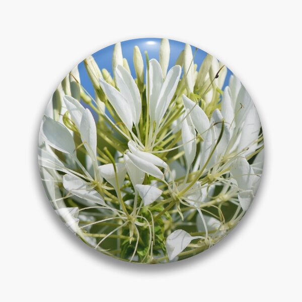 Item preview, Flower Spider Plant Cleomaceae Stamens designed and sold by MonArtisteSam.