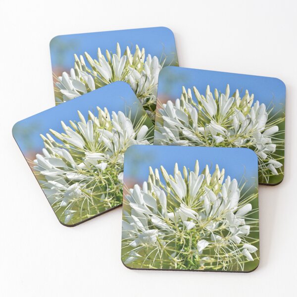 Item preview, Flower Spider Plant Cleomaceae Stamens designed and sold by MonArtisteSam.