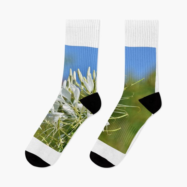 Item preview, Flower Spider Plant Cleomaceae Stamens designed and sold by MonArtisteSam.