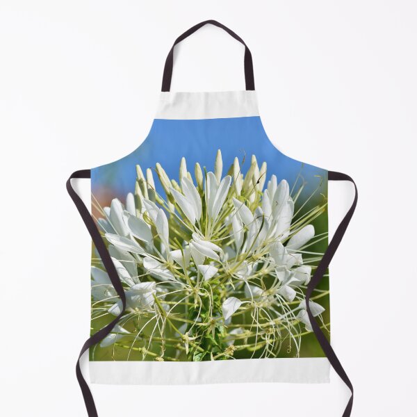Item preview, Flower Spider Plant Cleomaceae Stamens designed and sold by MonArtisteSam.