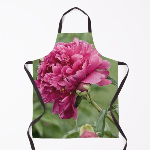 Aperçu de l'œuvre Pivoine marron créée et vendue par Michael Cummings.