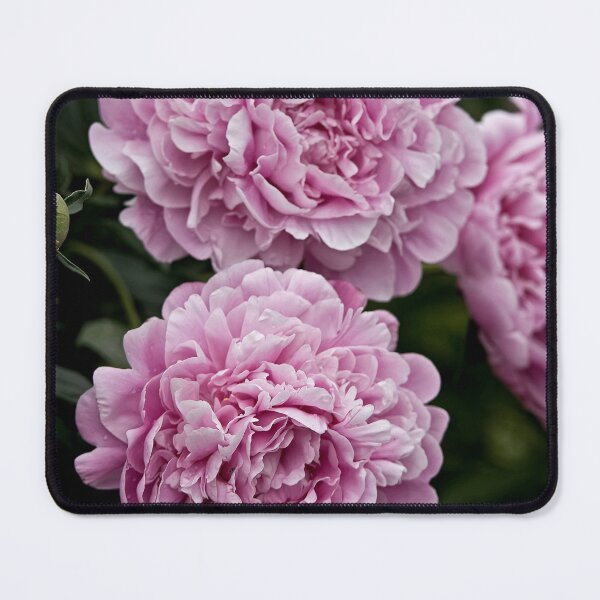Item preview, Pink Peony designed and sold by Michael Cummings.