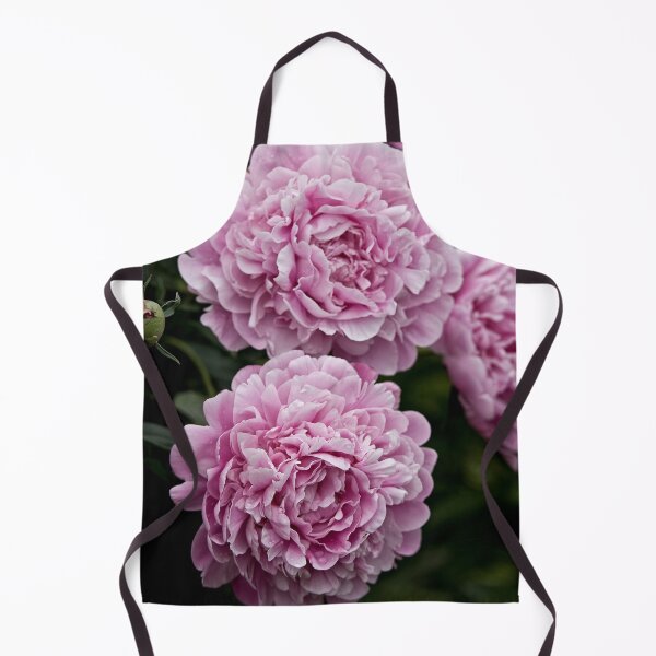 Aperçu de l'œuvre Pivoine rose créée et vendue par Michael Cummings.