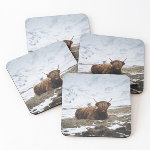 Item preview, Highland Cow - Realistic designed and sold by anass002.