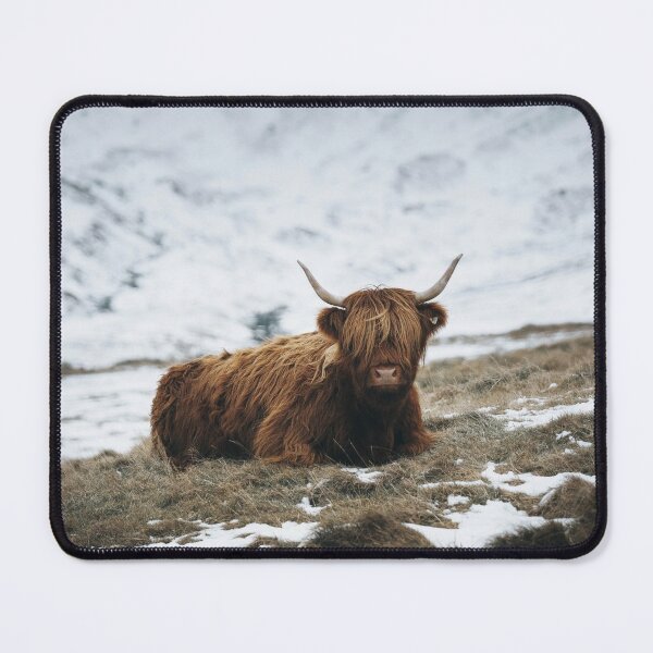 Highland Cow - Realistic Mouse Pad