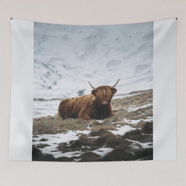 Item preview, Highland Cow - Realistic designed and sold by anass002.