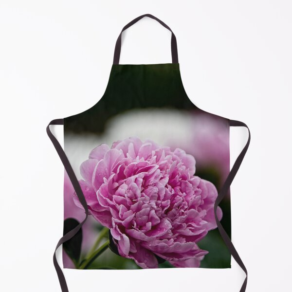 Aperçu de l'œuvre Pivoine rose créée et vendue par Michael Cummings.