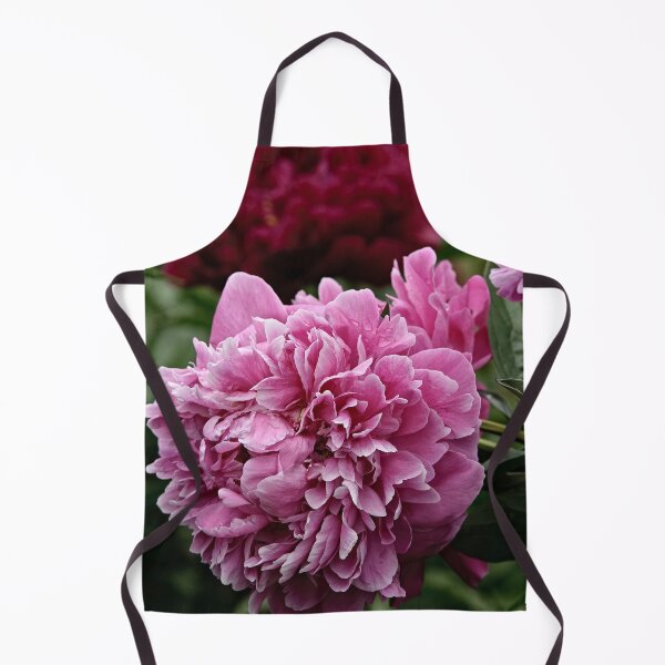 Aperçu de l'œuvre Pivoine rose créée et vendue par Michael Cummings.