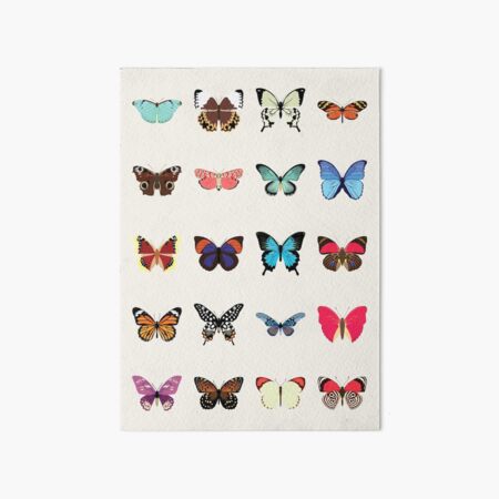 Butterflies Art Board Print