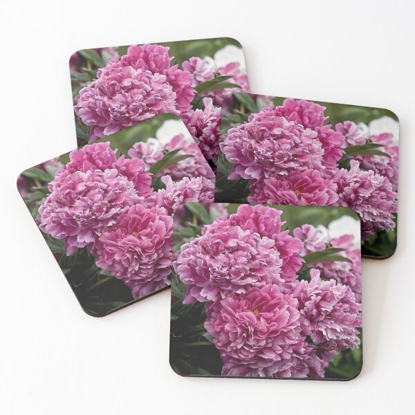 Item preview, Pink Peony designed and sold by Michael Cummings.
