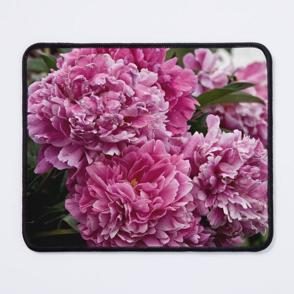 Item preview, Pink Peony designed and sold by Michael Cummings.