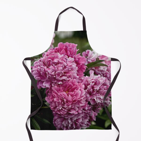 Aperçu de l'œuvre Pivoine rose créée et vendue par Michael Cummings.