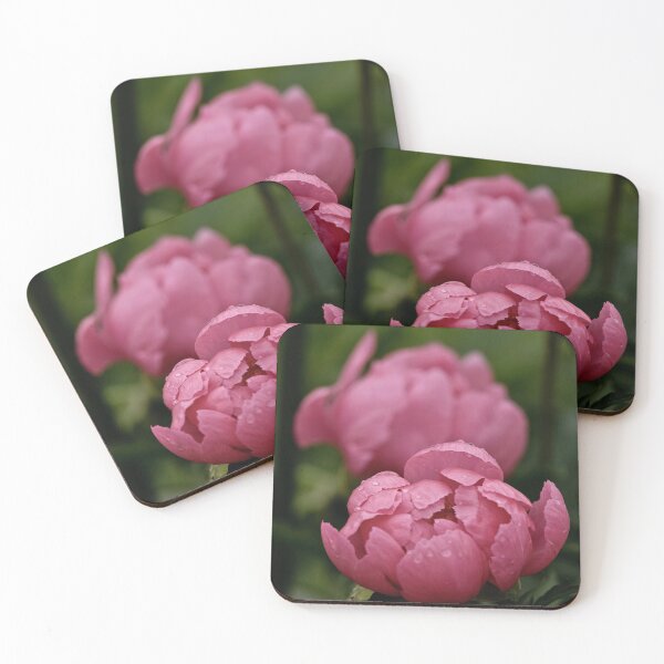 Item preview, Dusty Rose Peony designed and sold by Michael Cummings.