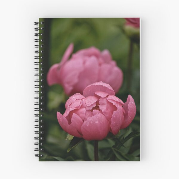 Item preview, Dusty Rose Peony designed and sold by Michael Cummings.