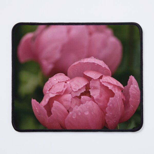 Item preview, Dusty Rose Peony designed and sold by Michael Cummings.