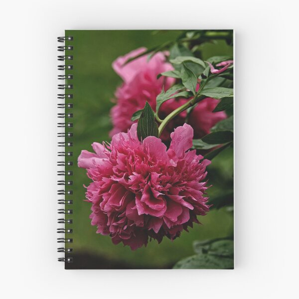 Item preview, Maroon Peony designed and sold by Michael Cummings.