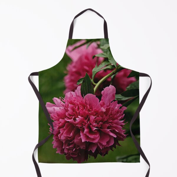 Aperçu de l'œuvre Pivoine marron créée et vendue par Michael Cummings.