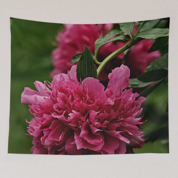 Aperçu de l'œuvre Pivoine marron créée et vendue par Michael Cummings.