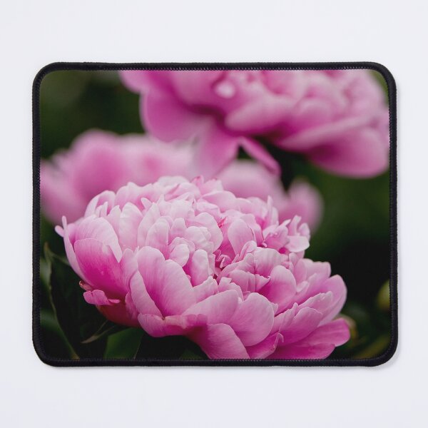 Item preview, Pink Peony designed and sold by Michael Cummings.