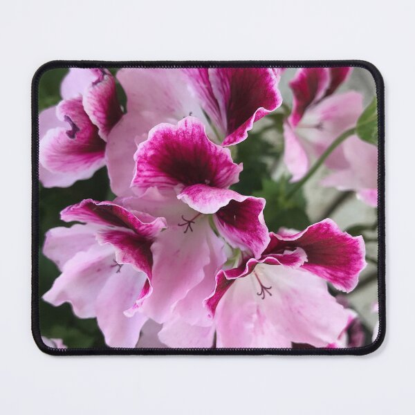 Item preview, Fuchsia Flowers  designed and sold by Kotsos Illustrations.