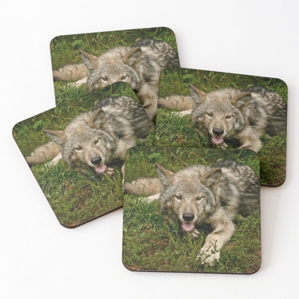 Item preview, Timber Wolf designed and sold by Michael Cummings.