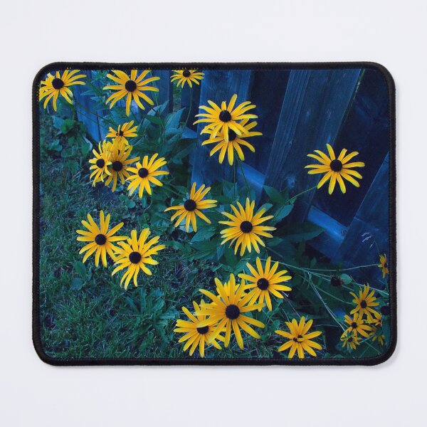 Item preview, Black Eyed Susans designed and sold by Kotsos Illustrations.