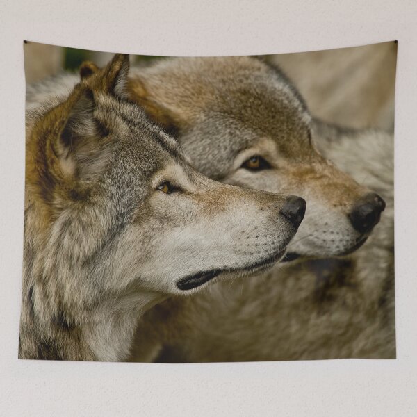 Item preview, Timber Wolves designed and sold by Michael Cummings.