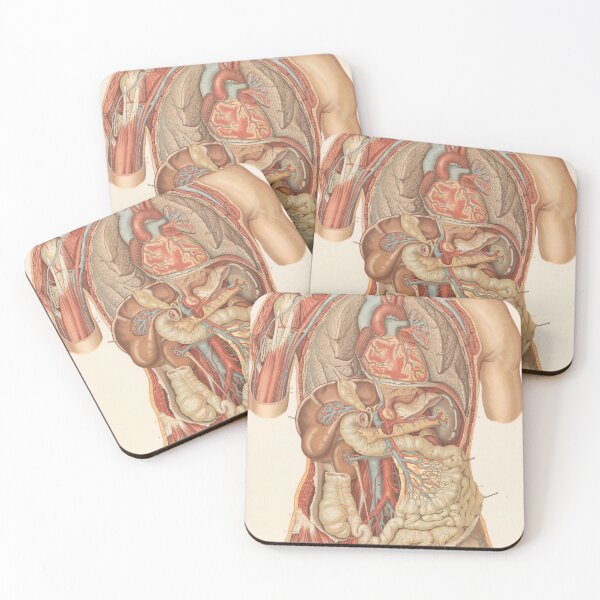 Item preview, Vintage anatomy of the human body designed and sold by portokalis.