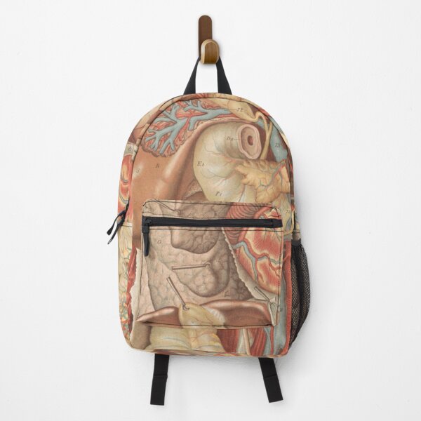 Item preview, Vintage anatomy of the human body designed and sold by portokalis.