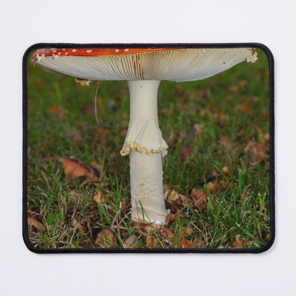 Fly agaric square Mouse Pad