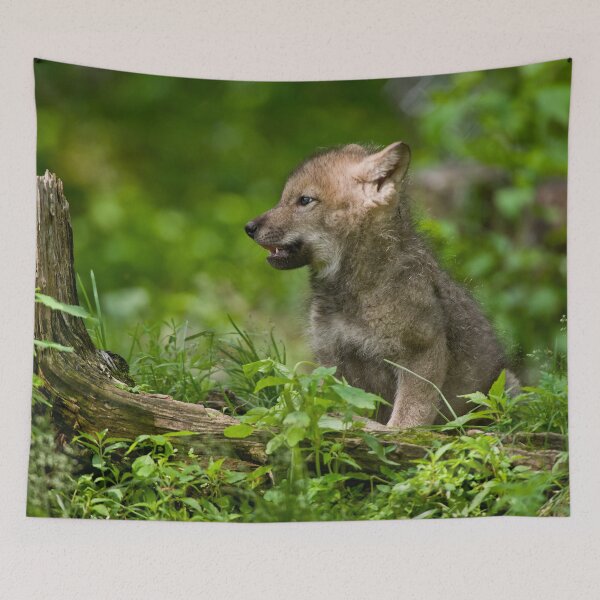 Item preview, Timber Wolf Pup designed and sold by Michael Cummings.