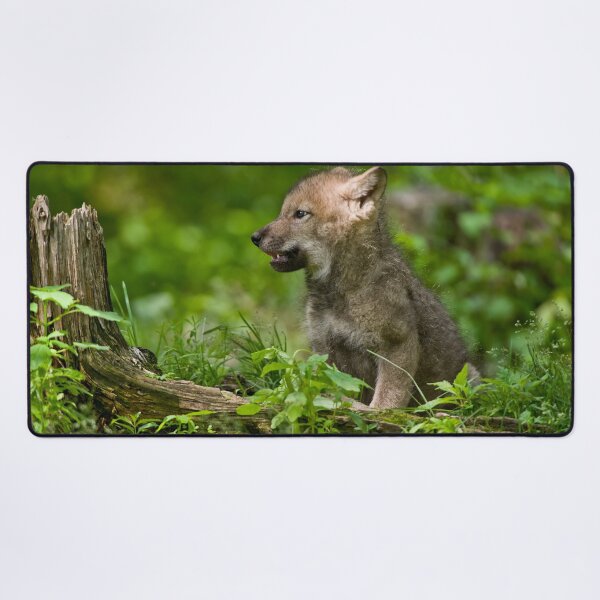 Item preview, Timber Wolf Pup designed and sold by Michael Cummings.