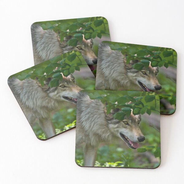 Item preview, Gray Wolf designed and sold by Michael Cummings.