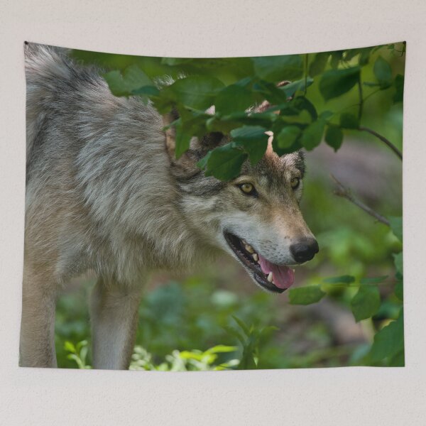 Item preview, Gray Wolf designed and sold by Michael Cummings.