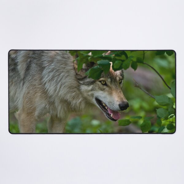 Item preview, Gray Wolf designed and sold by Michael Cummings.