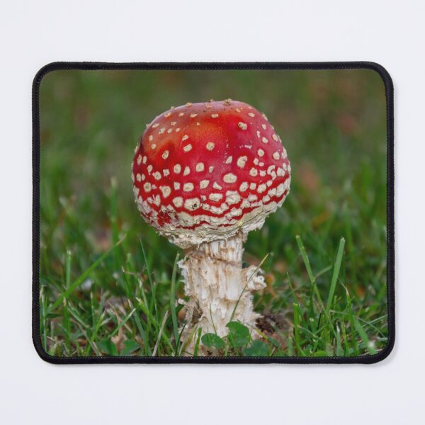 Young Fly Agaric Mouse Pad