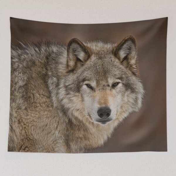 Item preview, Gray Wolf designed and sold by Michael Cummings.