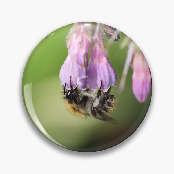 Item preview, Carder bee on comfrey designed and sold by GreyFeatherPhot.