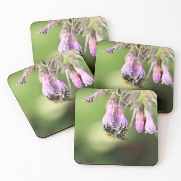 Item preview, Carder bee on comfrey designed and sold by GreyFeatherPhot.