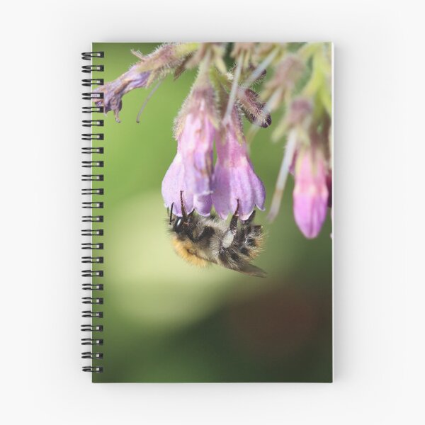 Item preview, Carder bee on comfrey designed and sold by GreyFeatherPhot.