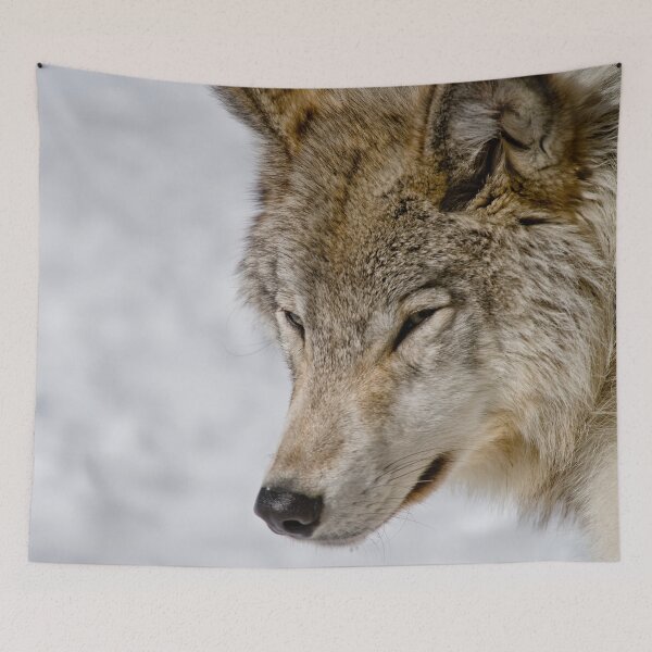 Item preview, Grey Wolf designed and sold by Michael Cummings.