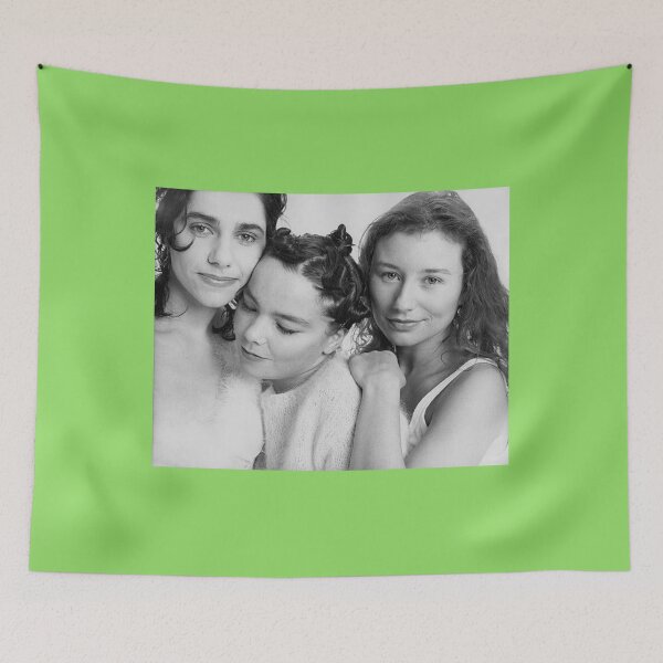 Item preview, Rare B_amp_W Portrait of Bjork, PJ Harvey, and Tori Amos    designed and sold by ThatSparrowBoy.