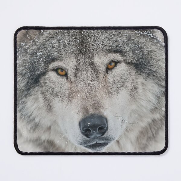 Item preview, Timber Wolf designed and sold by Michael Cummings.