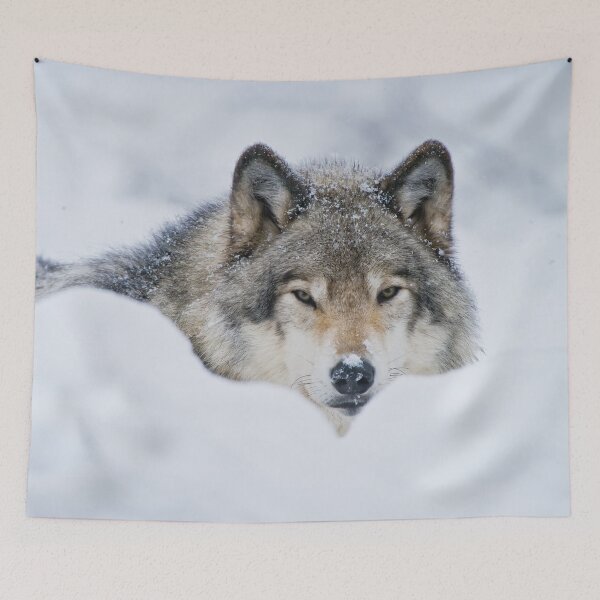 Item preview, Gray Wolf designed and sold by Michael Cummings.