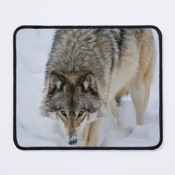 Item preview, Timber Wolf designed and sold by Michael Cummings.